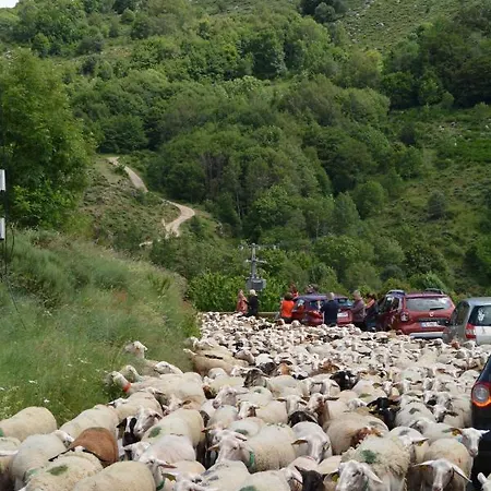 Σπίτι διακοπών Mont Lozere Le Pont-de-Montvert