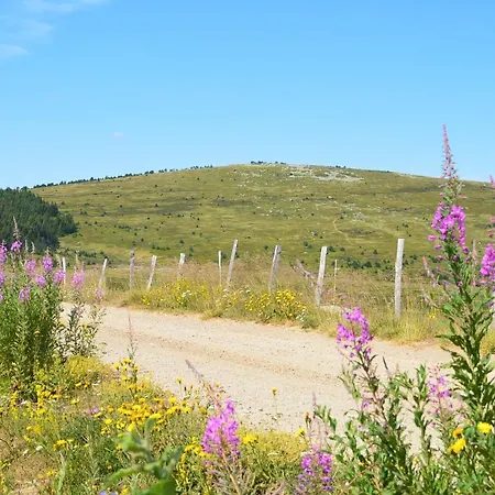 Hébergement de vacances Mont Lozère